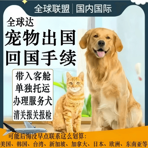 西宁宠物托运到柬埔寨宠物入境规定和要求