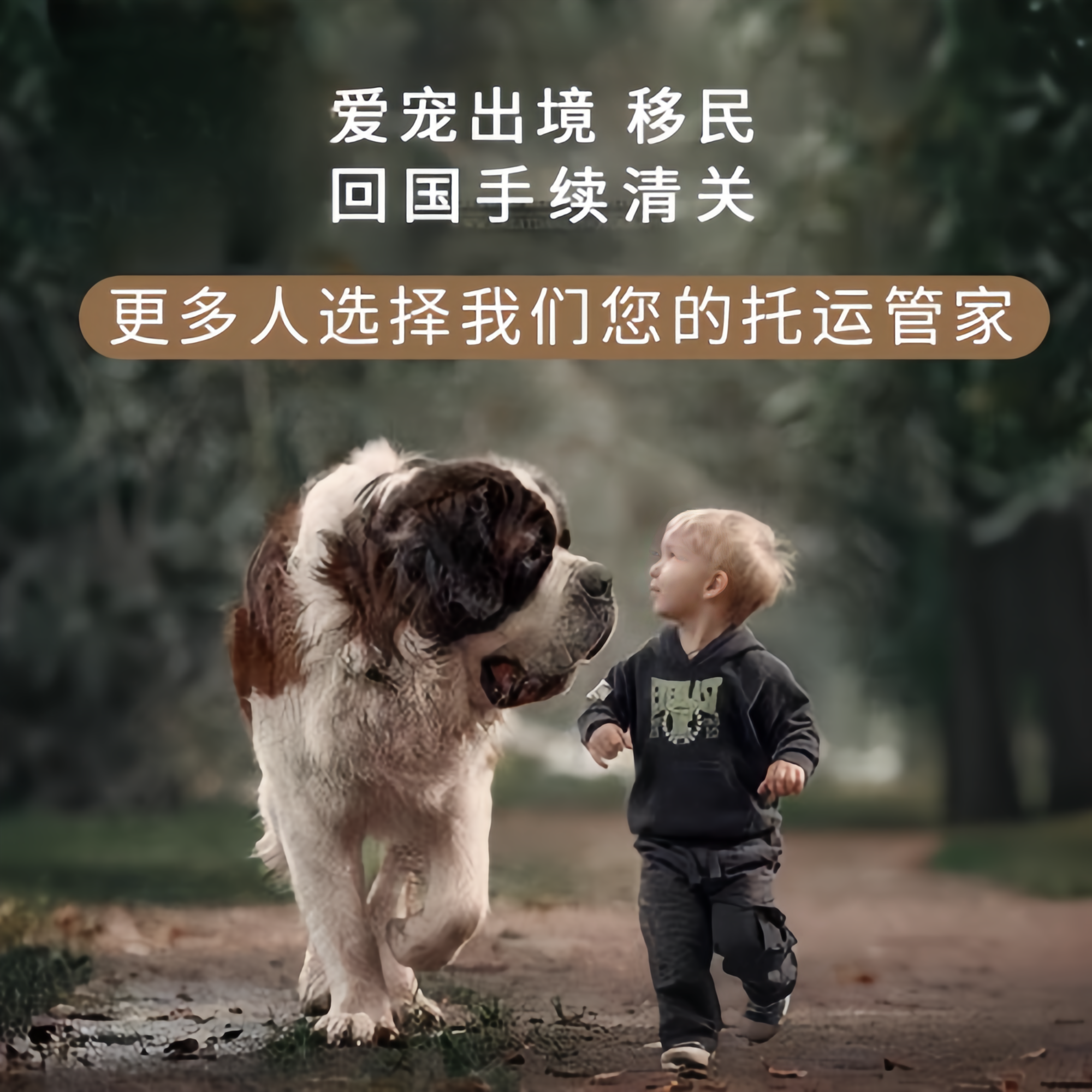 满财西宁宠物全球达宠物托运在遵守入境目的地政策的条件